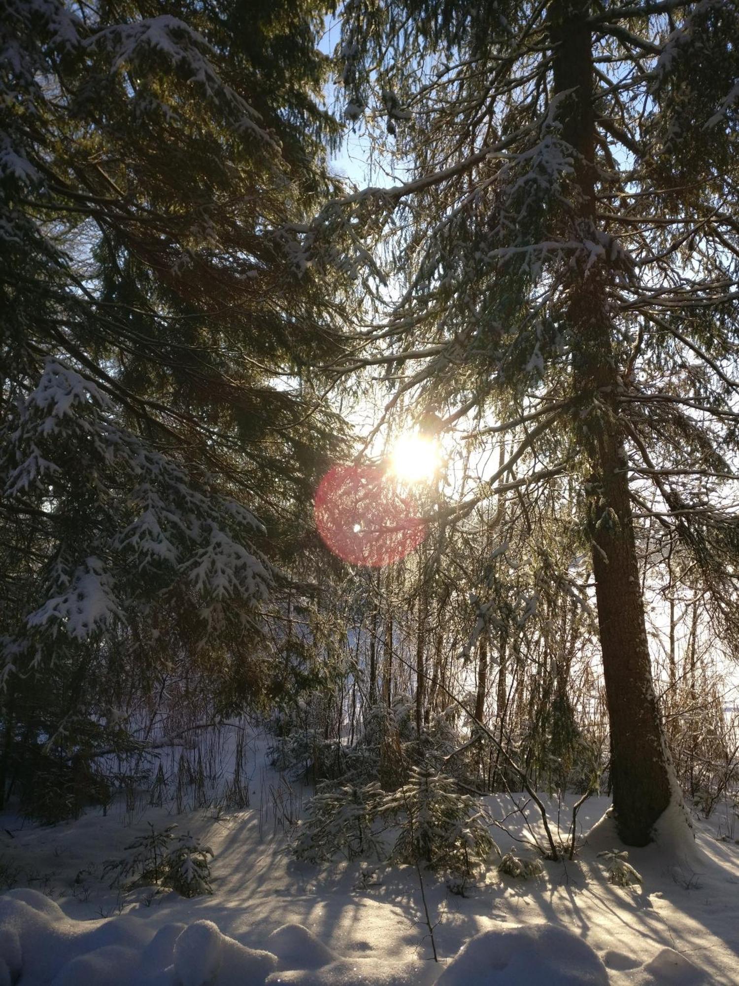 Private Lakeside Holiday Property In Nature Kankaanpää 외부 사진